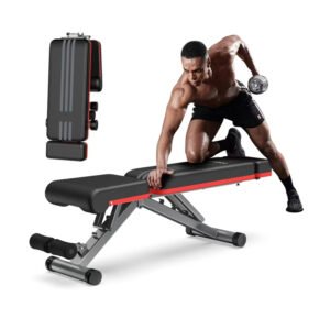 Adjustable Dumbbell Bench Foldable Workout Weight Bench Press Incline Decline for Home Gym Strength Training 660LBS